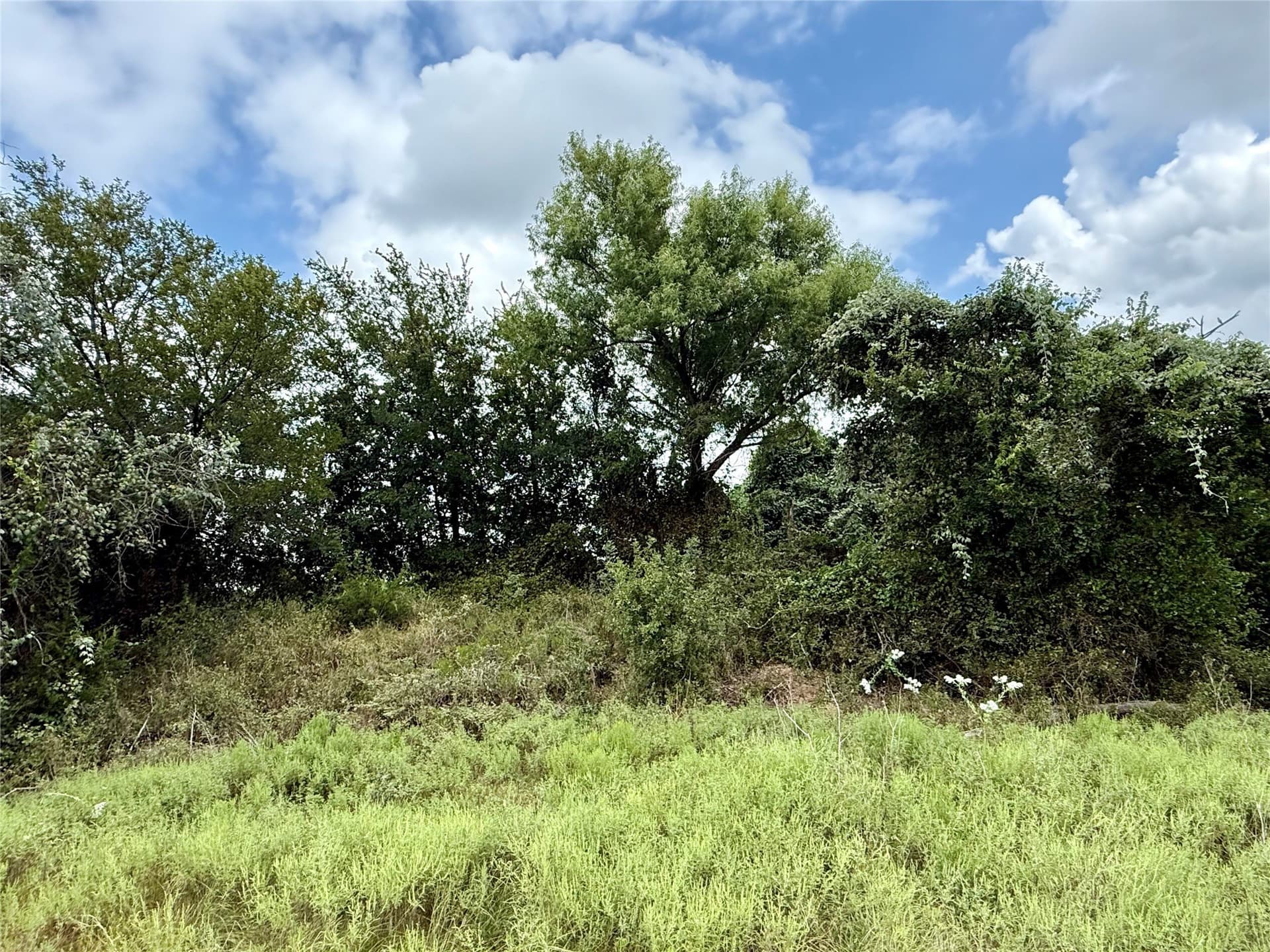 10.01 acres in Hamilton County - photo 14