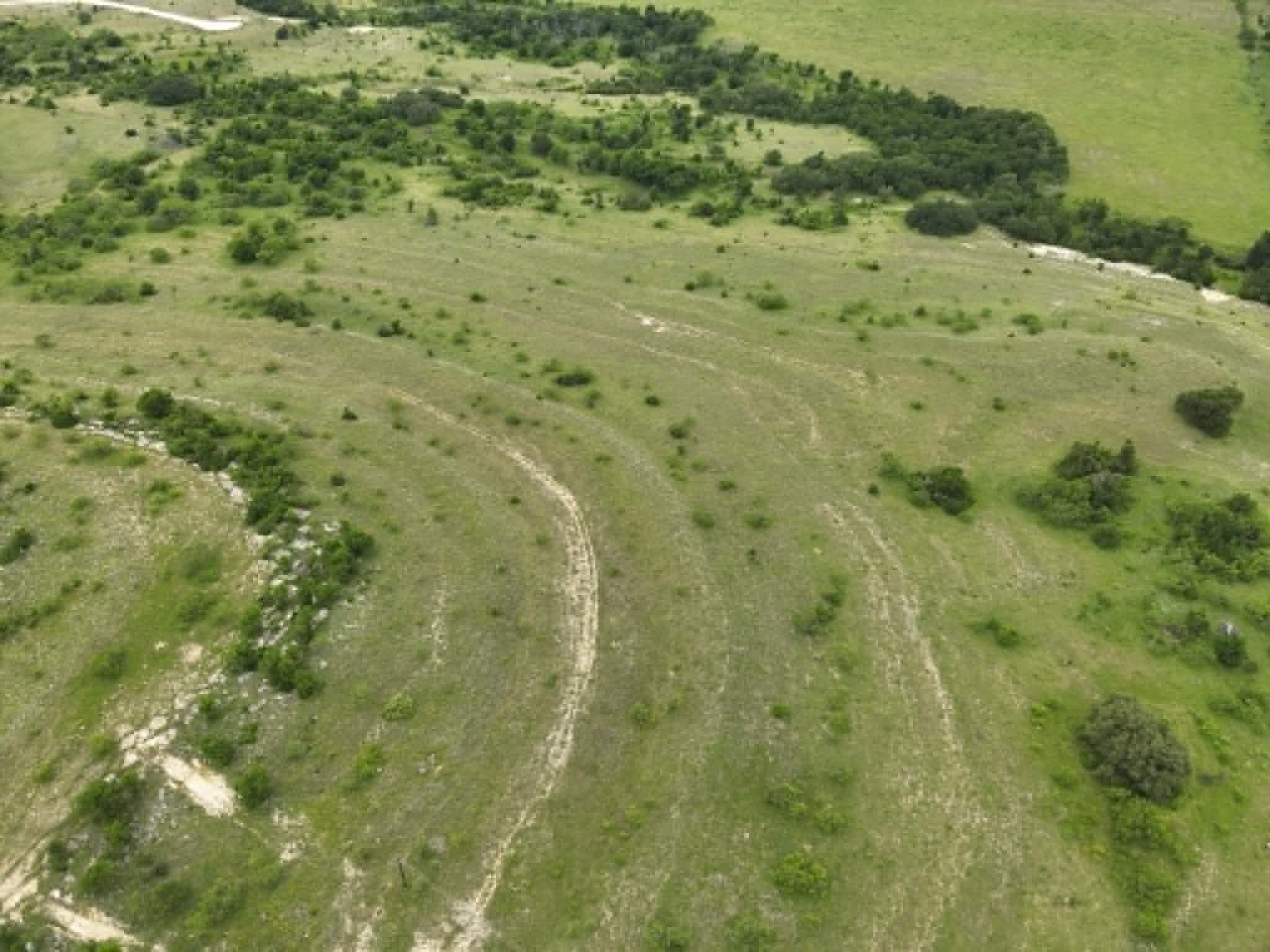 10.01 acres in Comanche County - photo 6