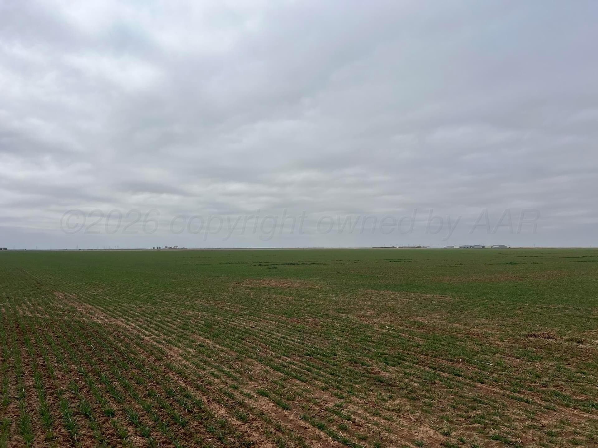 117 acres in Hardeman County - photo 8