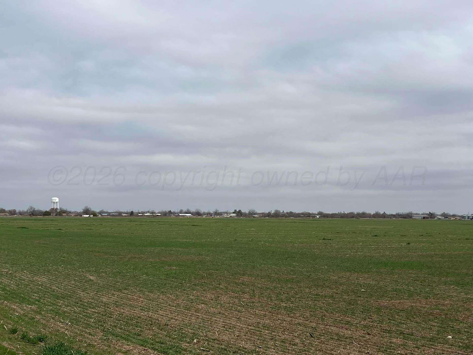 117 acres in Hardeman County gallery image 4