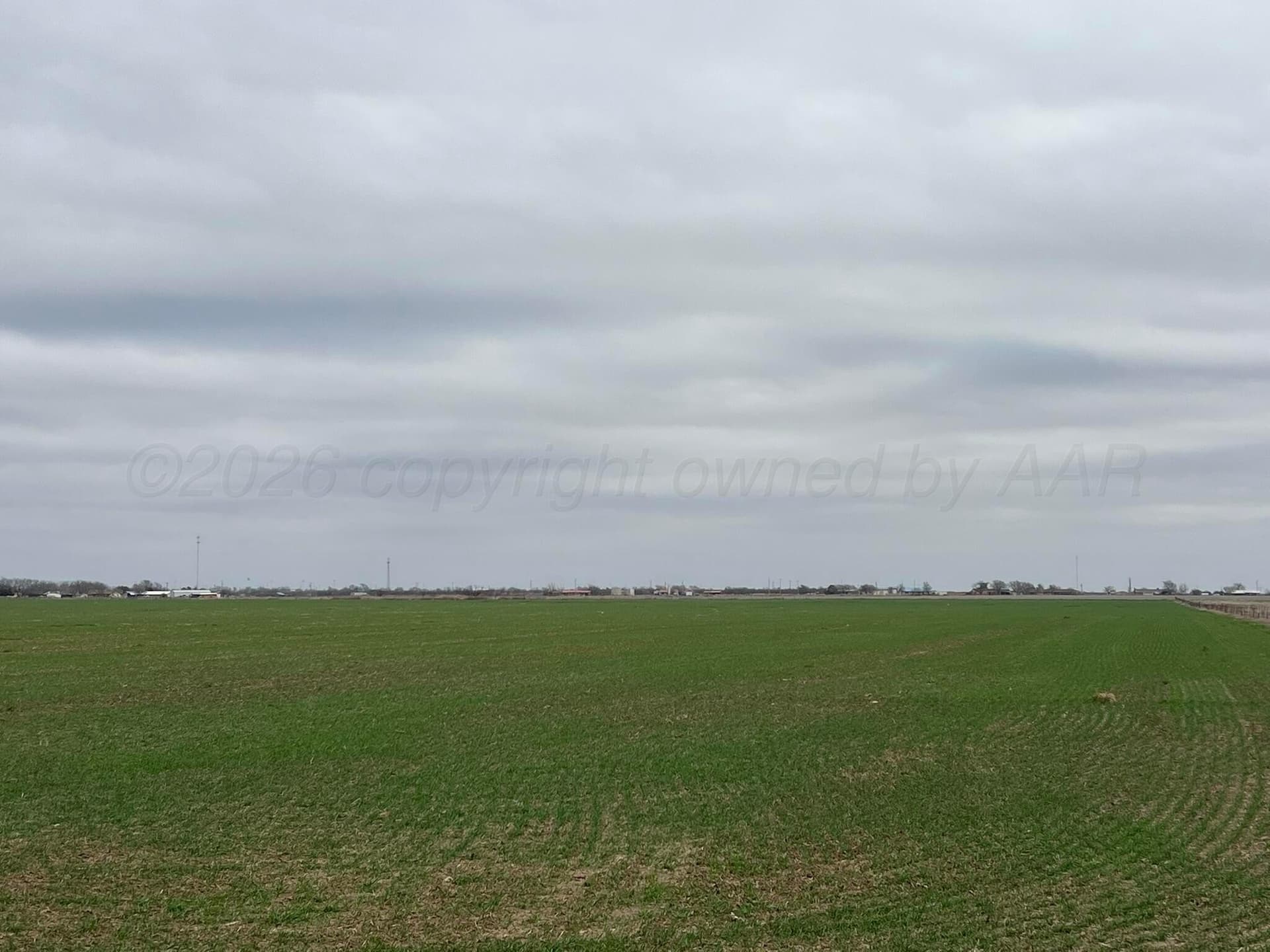 117 acres in Hardeman County featured view