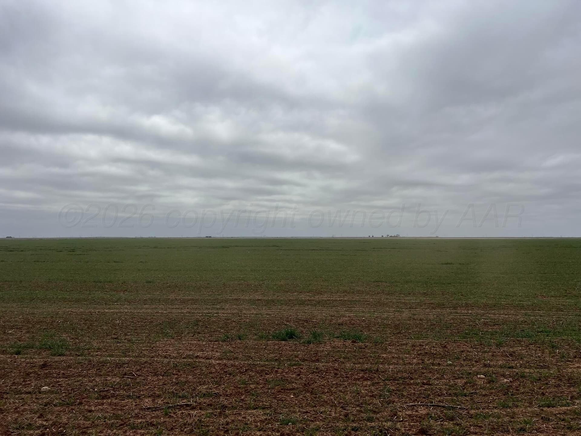 117 acres in Hardeman County - photo 11