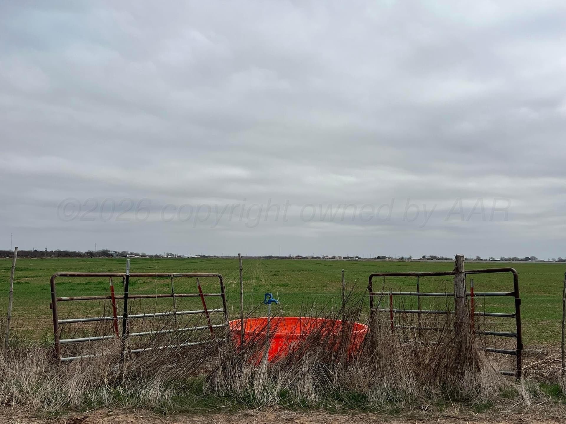117 acres in Hardeman County - photo 7