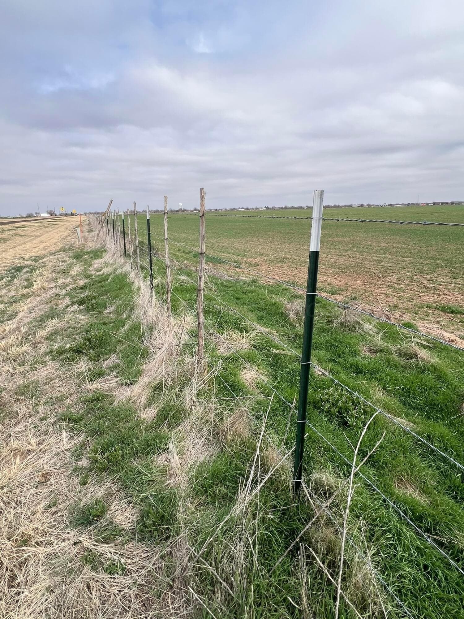 117 acres in Hardeman County - photo 6