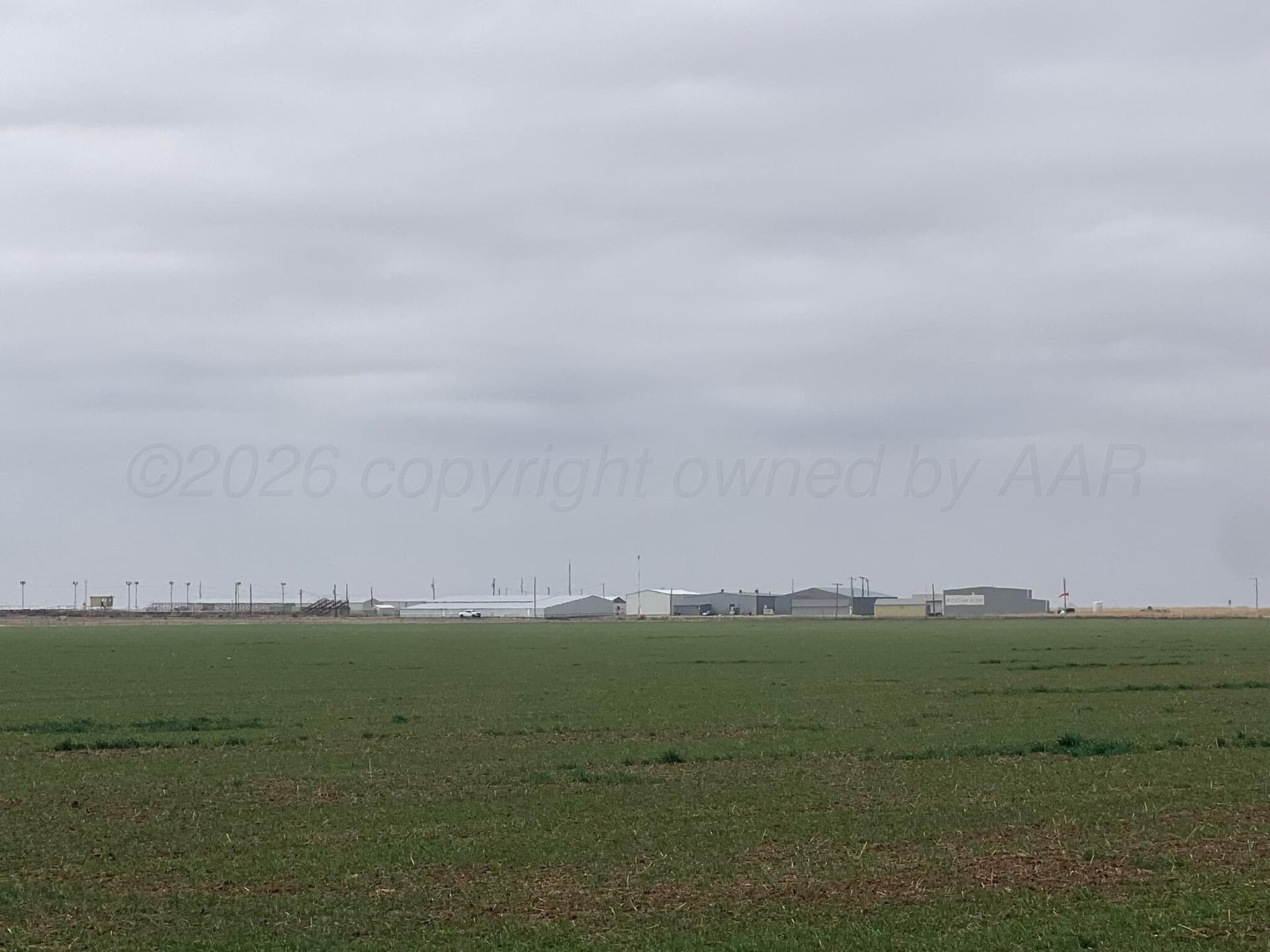 117 acres in Hardeman County - photo 9
