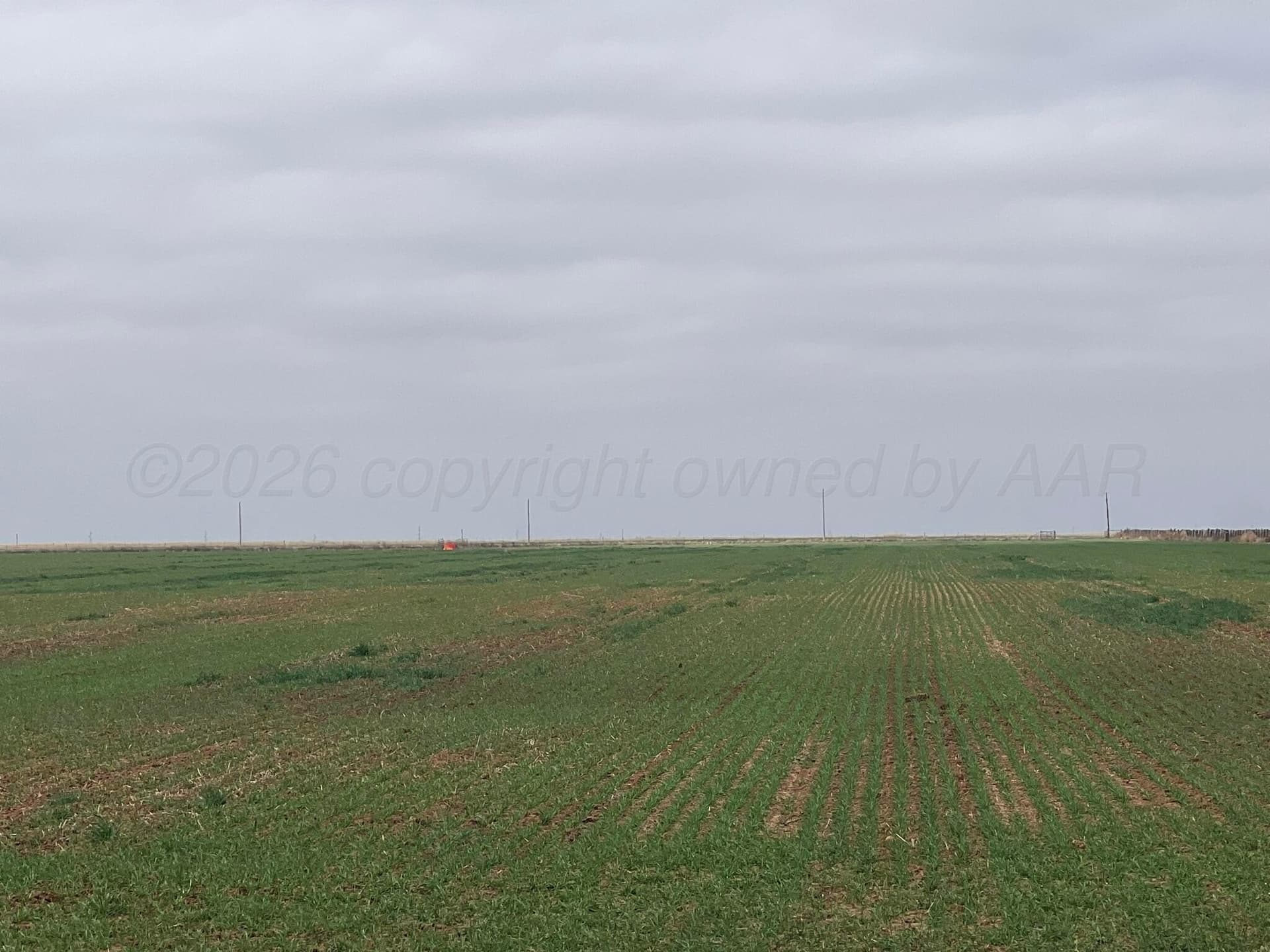 117 acres in Hardeman County - photo 10