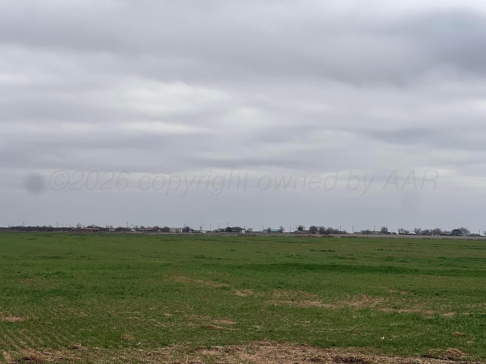 117 acres in Hardeman County gallery image 3