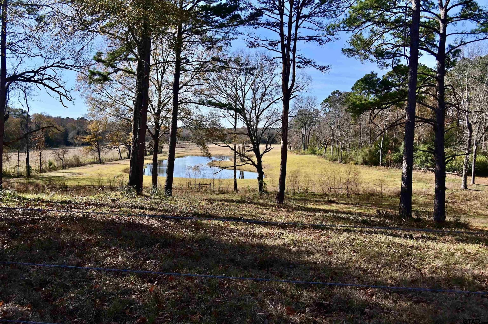16.12 acres in Anderson County - photo 6