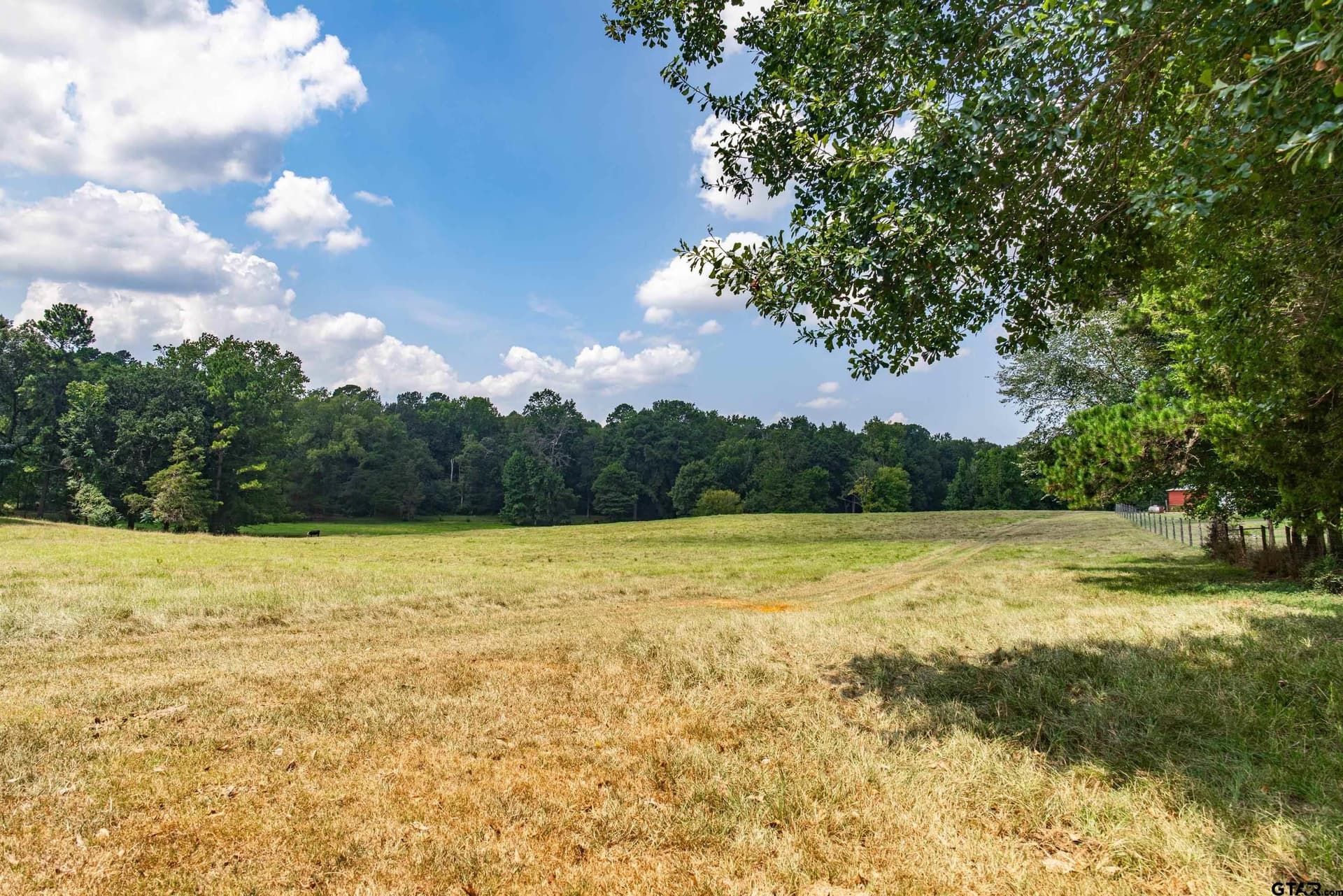 16.12 acres in Anderson County - photo 7