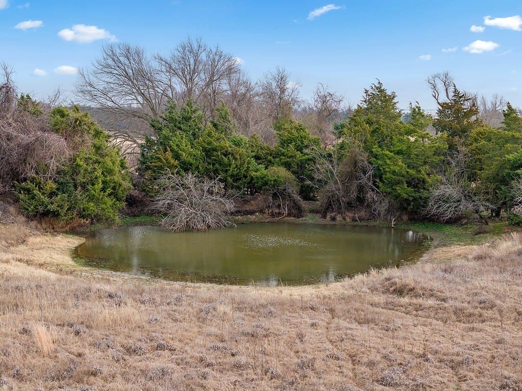 95.43 acres in Limestone County - photo 23