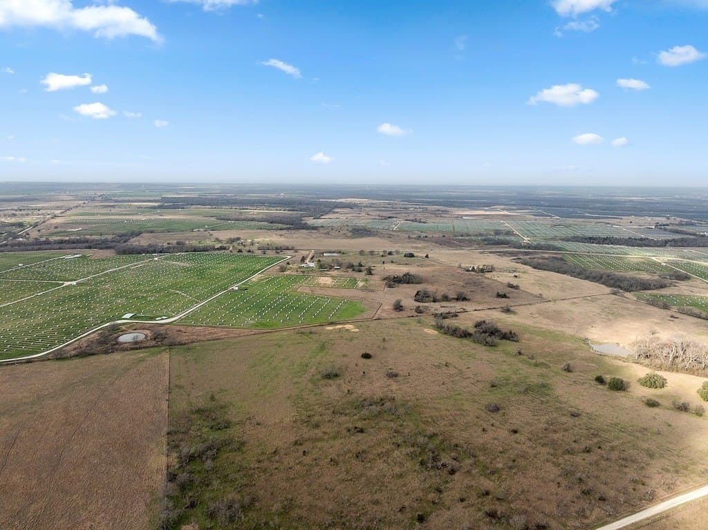 95.43 acres in Limestone County - photo 27