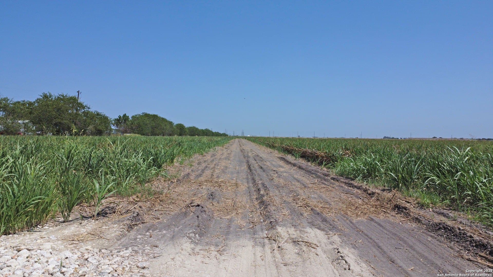 48 acres in Guadalupe County - photo 9