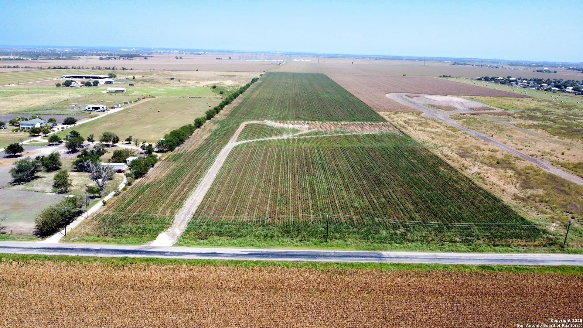 48 acres in Guadalupe County gallery image 3