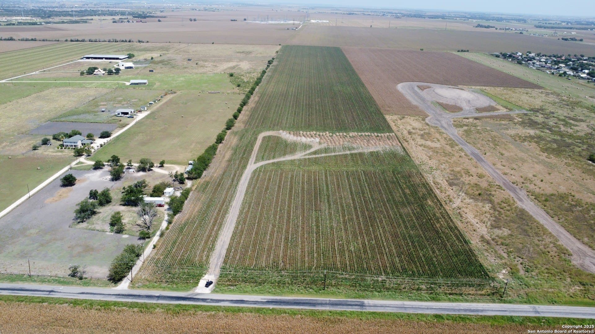 48 acres in Guadalupe County gallery image 2