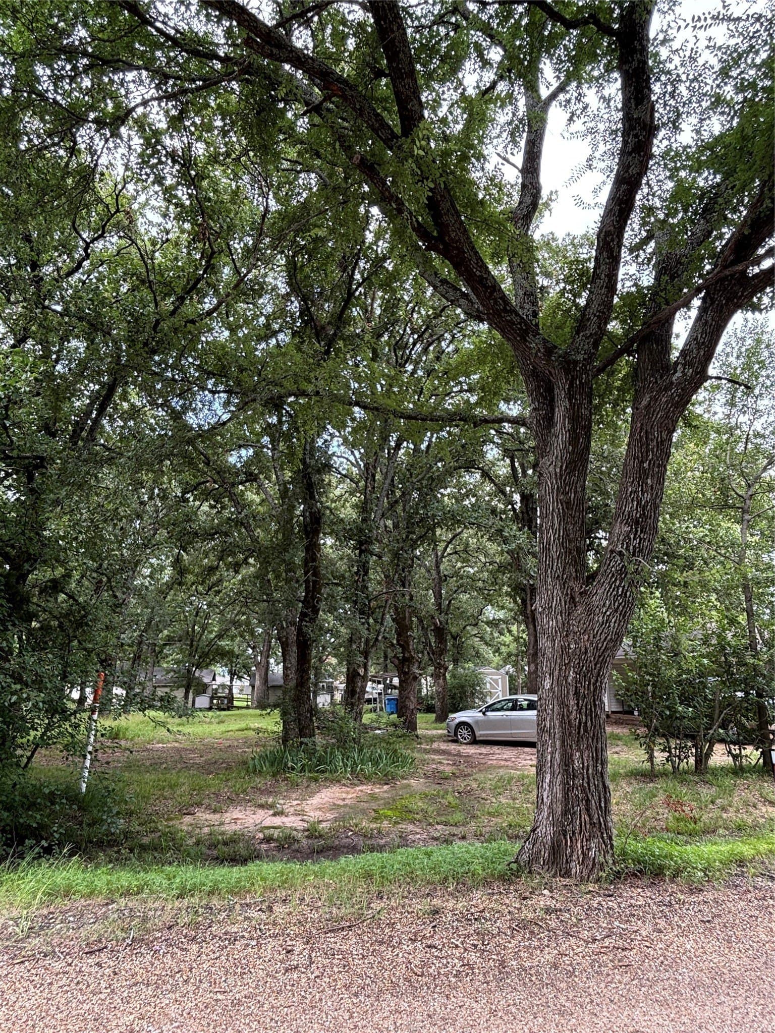 0.27 acres in Henderson County - photo 5