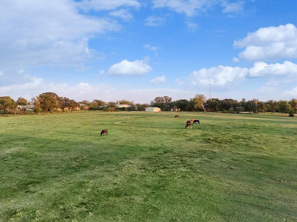 10.5 acres in Denton County gallery image 3