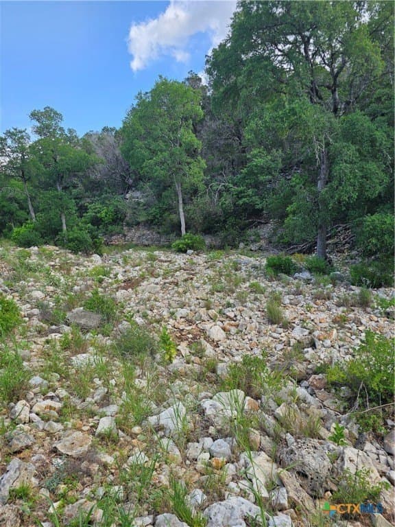 20 acres in Comal County gallery image 2