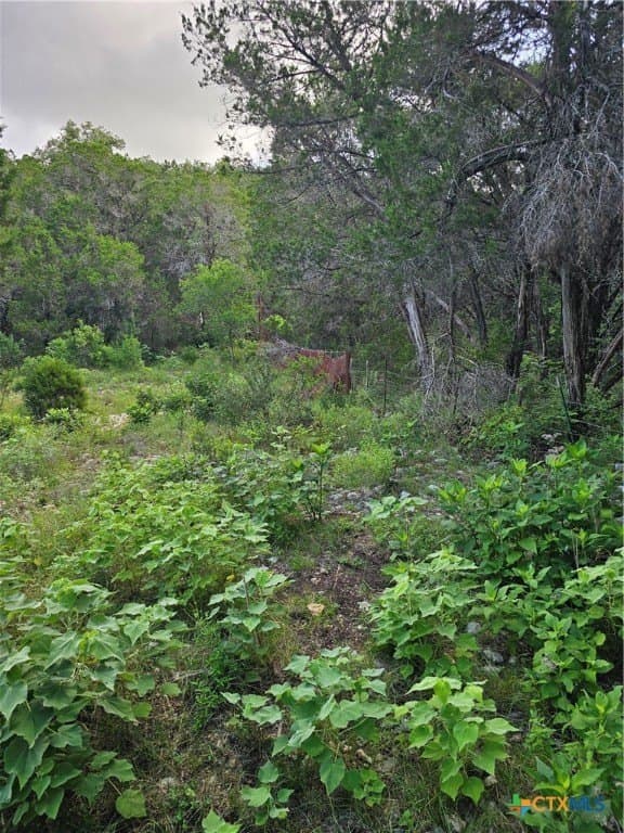 20 acres in Comal County gallery image 4