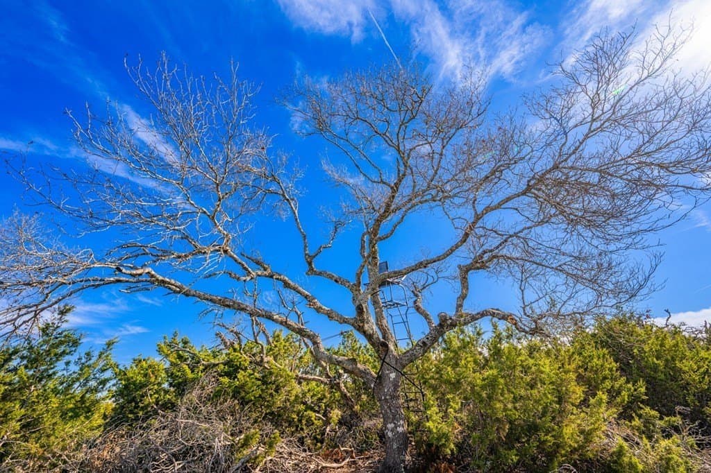 15.01 acres in Gillespie County gallery image 2