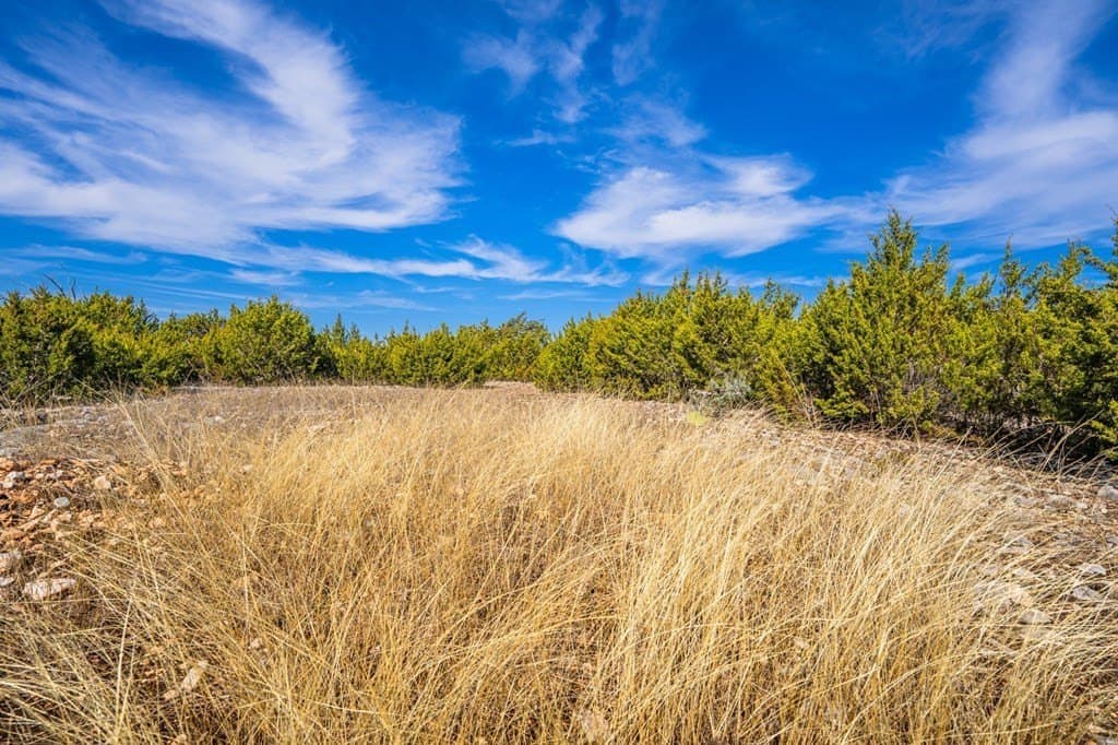 15.01 acres in Gillespie County gallery image 3