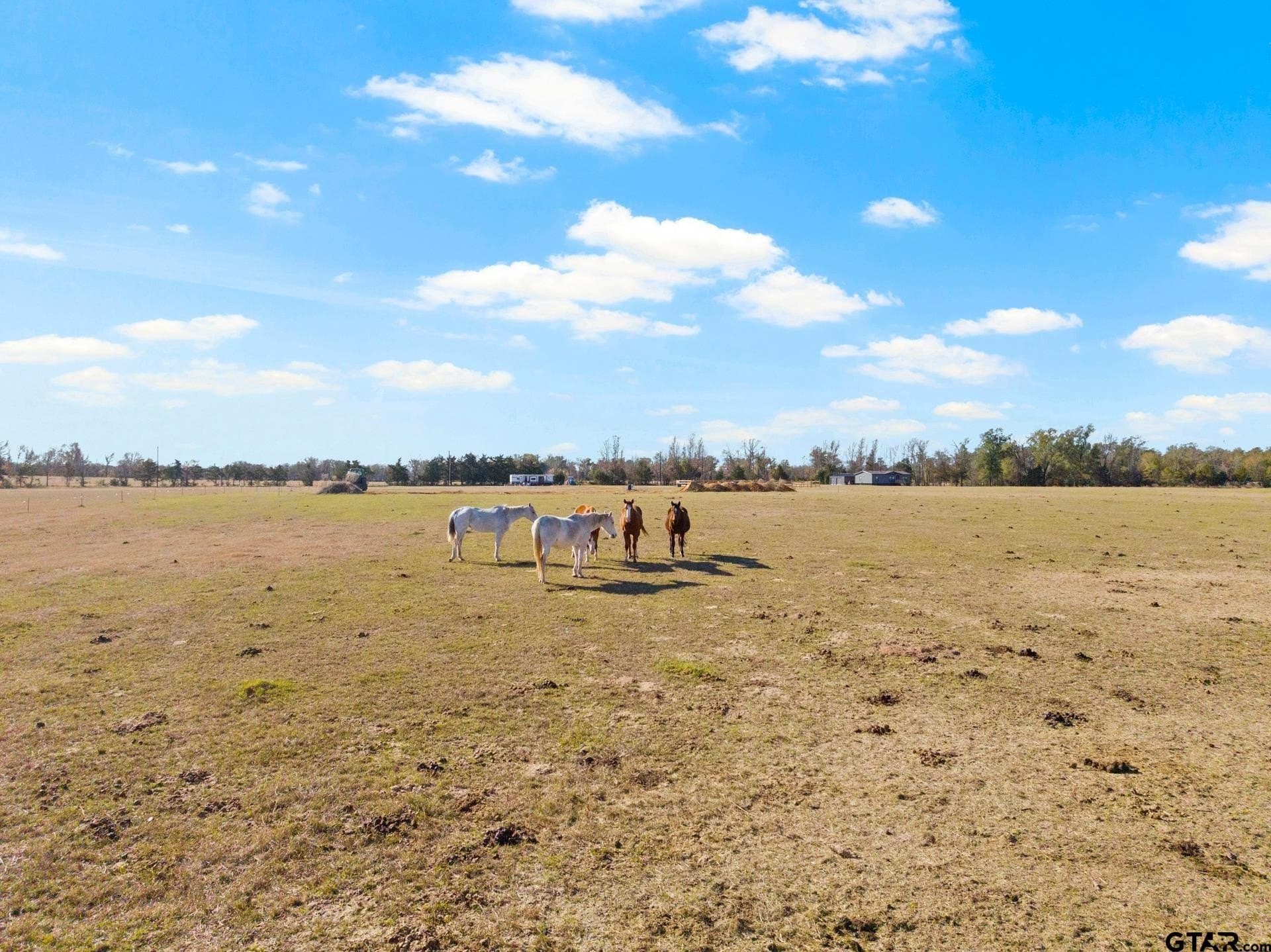 25 acres in Wood County gallery image 2