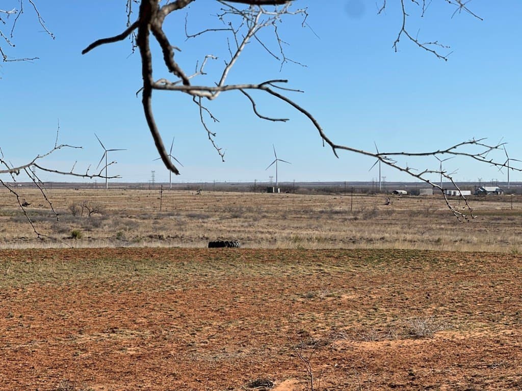 236 acres in Scurry County gallery image 4