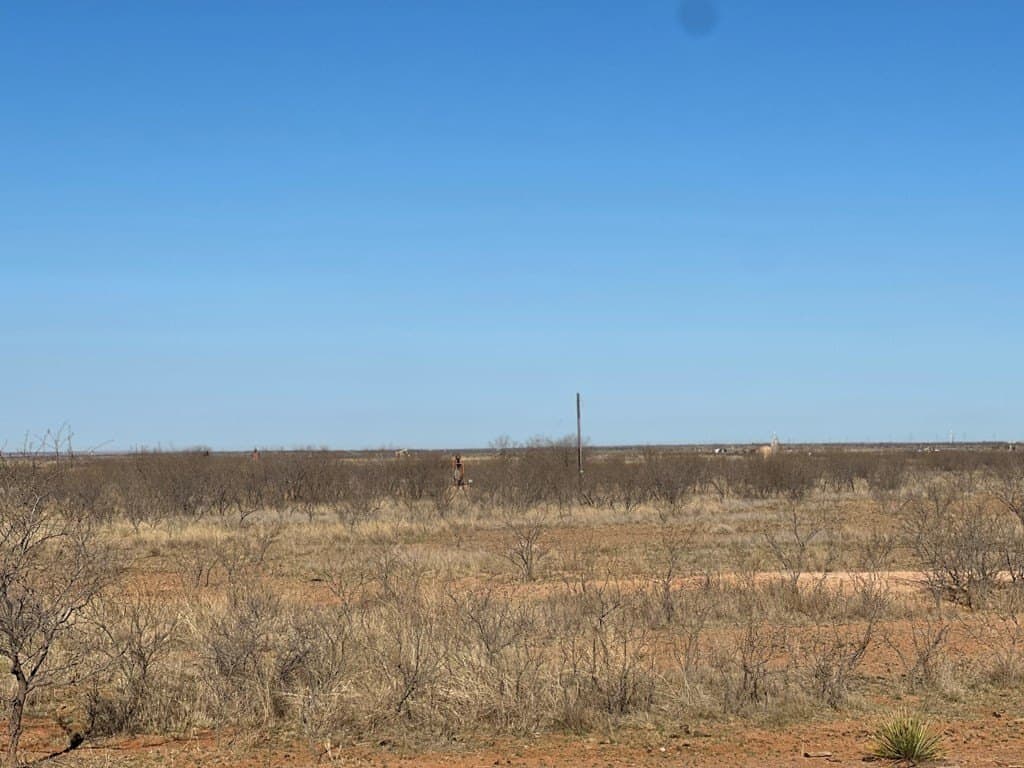 236 acres in Scurry County gallery image 3