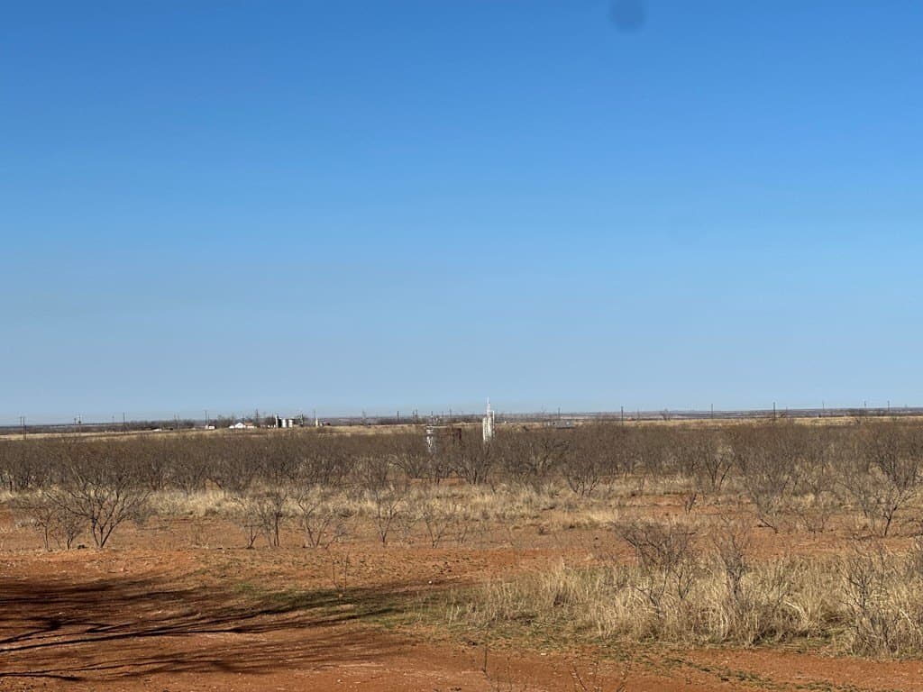 236 acres in Scurry County gallery image 2