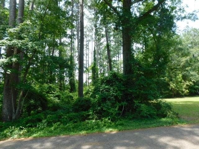 0.5 acres in Texas County