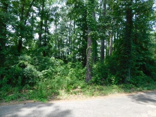 0.5 acres in Texas County gallery image 3