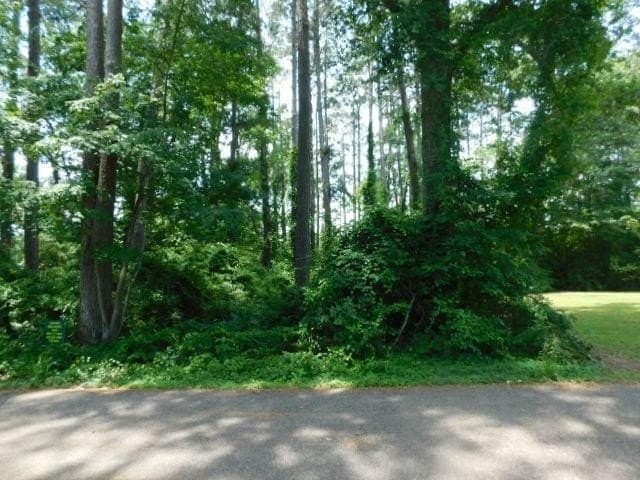 0.5 acres in Texas County gallery image 2