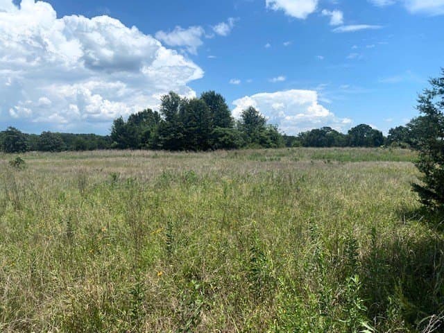 50 acres in Henderson County gallery image 4