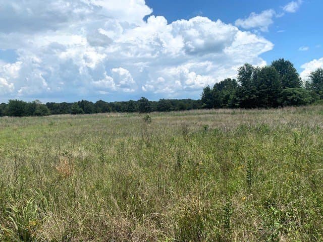50 acres in Henderson County featured view
