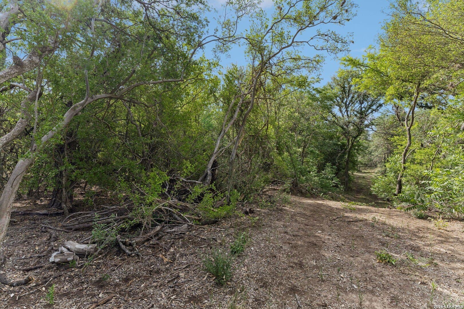 111 acres in Bexar County - photo 20