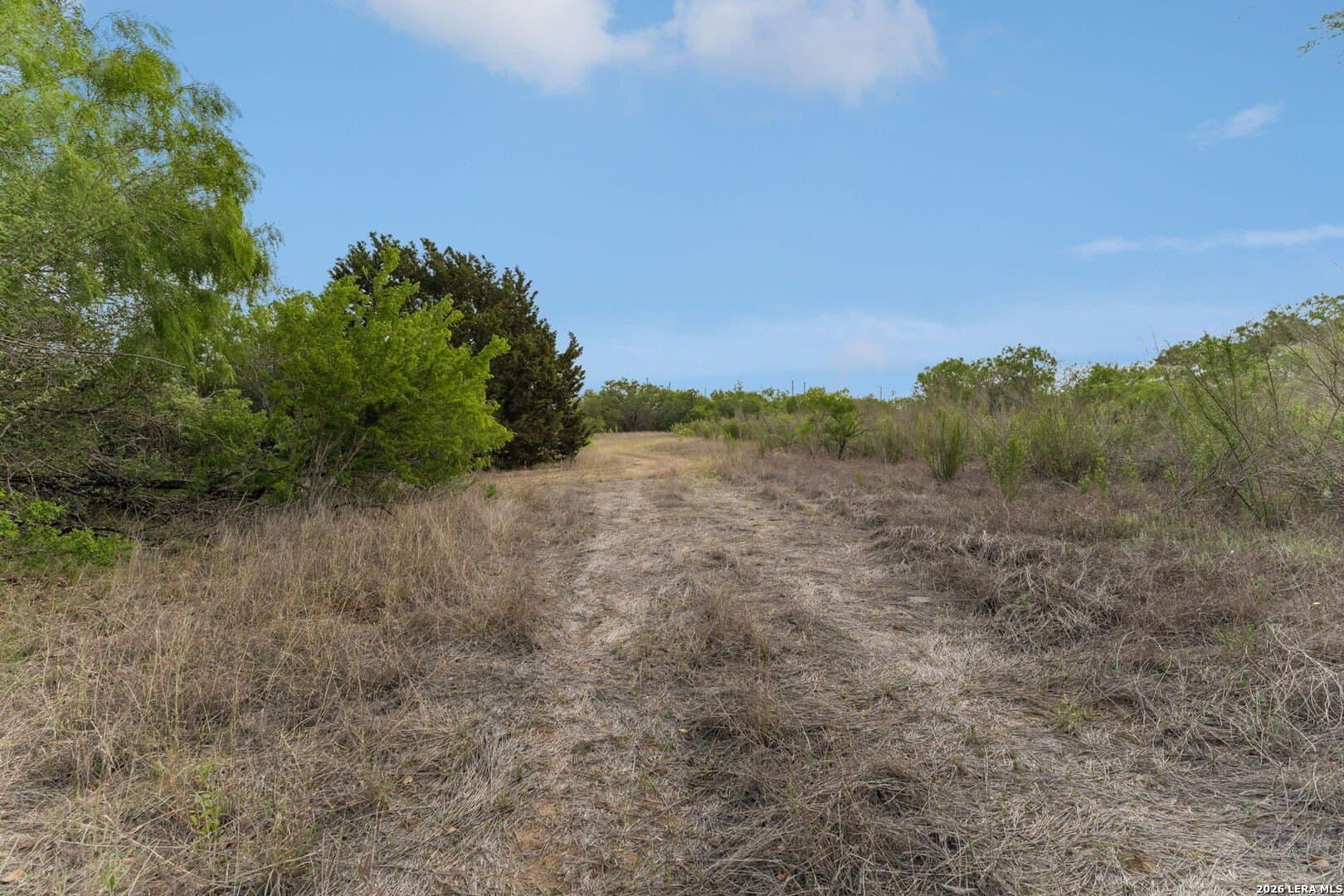 111 acres in Bexar County - photo 13