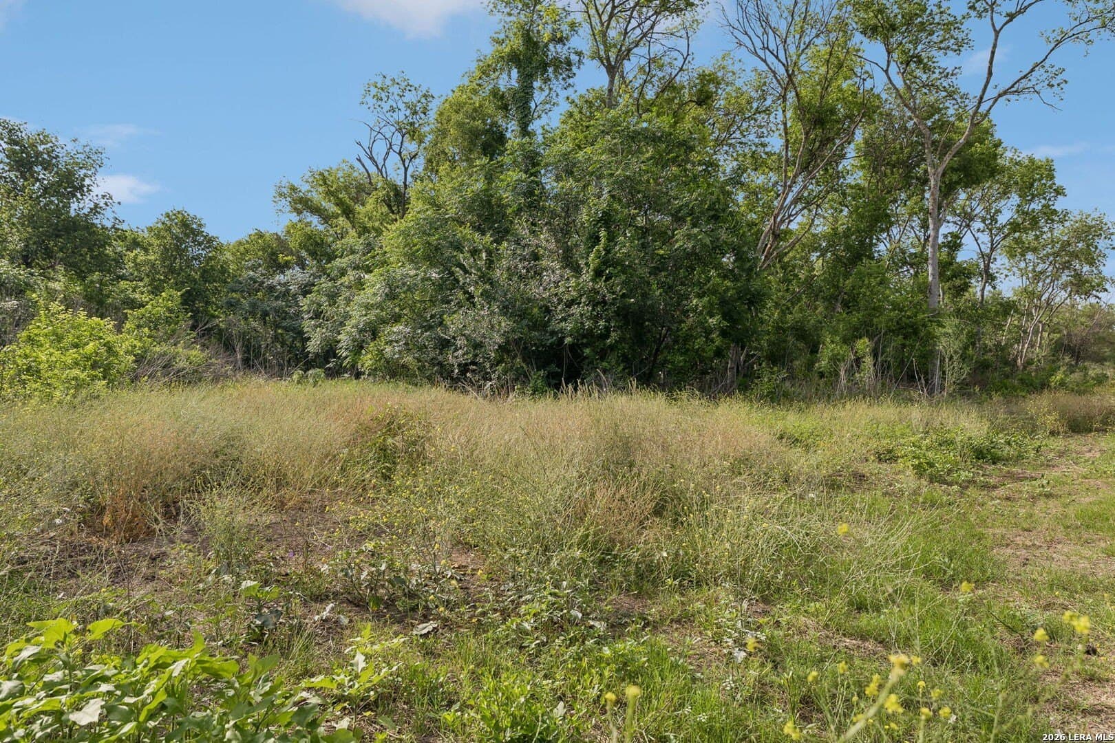 111 acres in Bexar County - photo 15