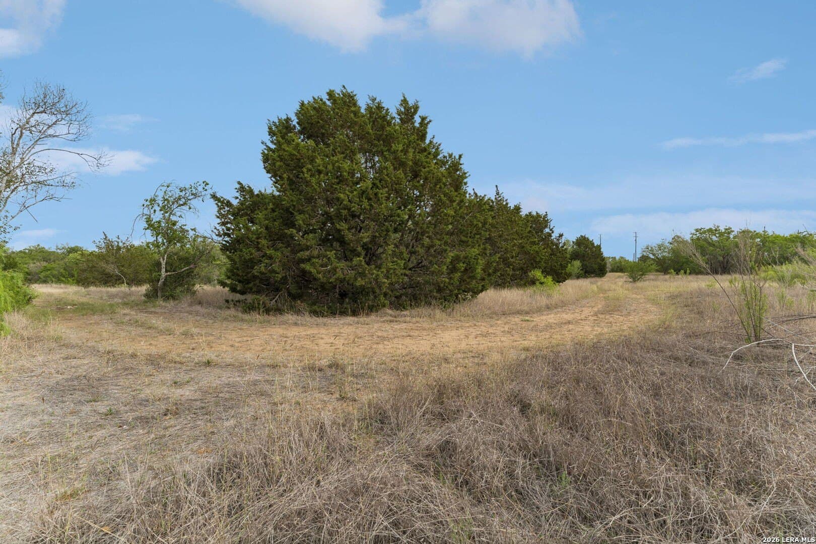 111 acres in Bexar County - photo 14