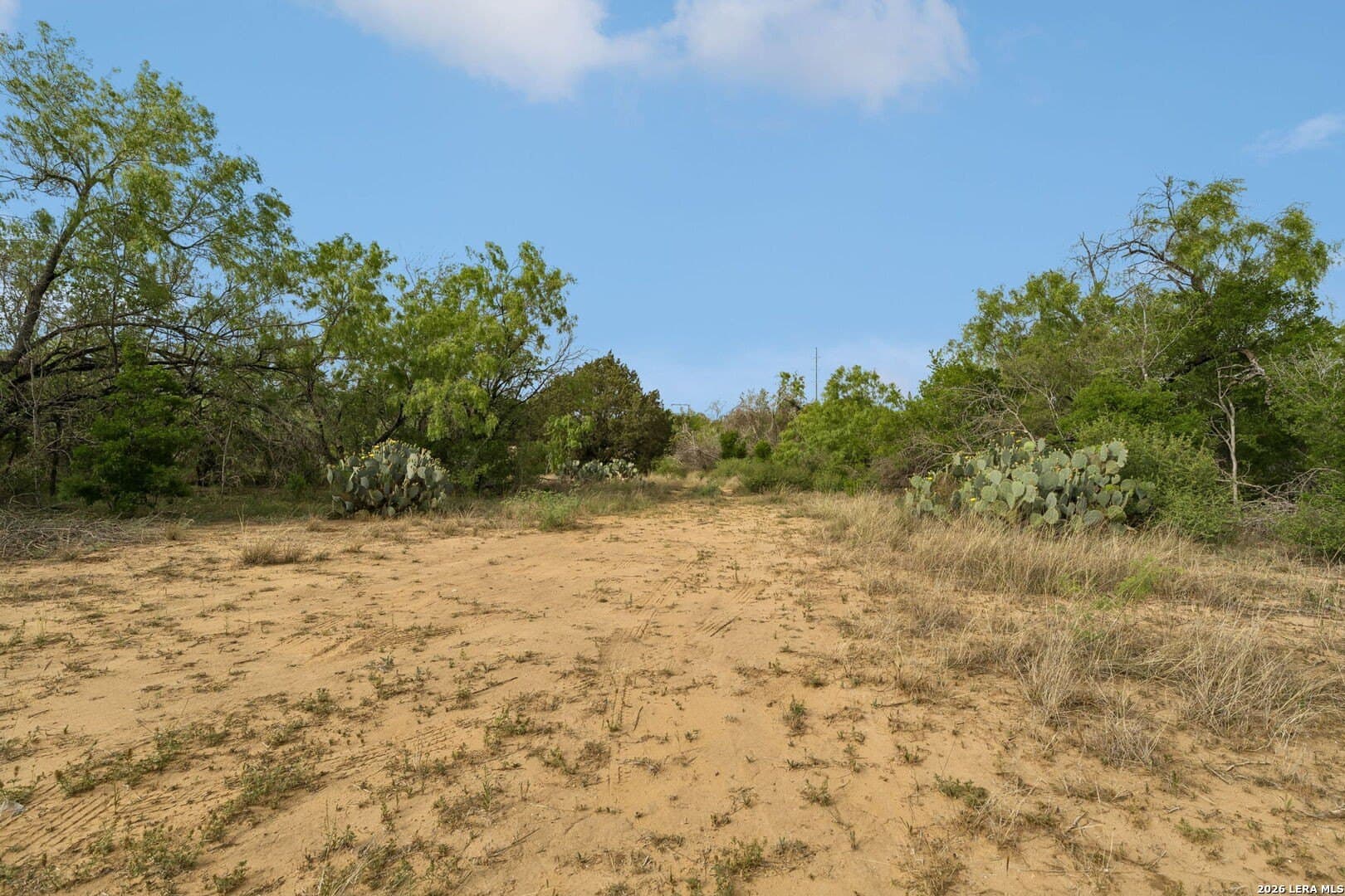 111 acres in Bexar County - photo 9
