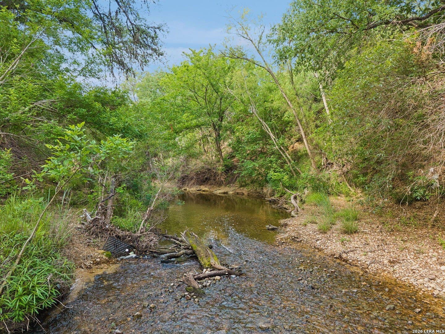 111 acres in Bexar County - photo 21