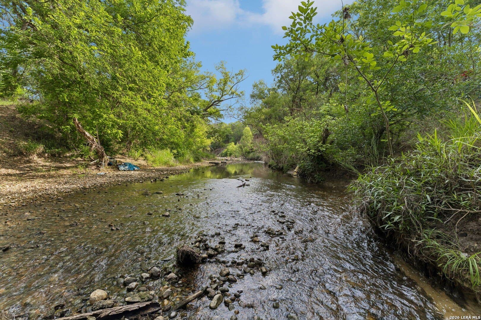 111 acres in Bexar County gallery image 2