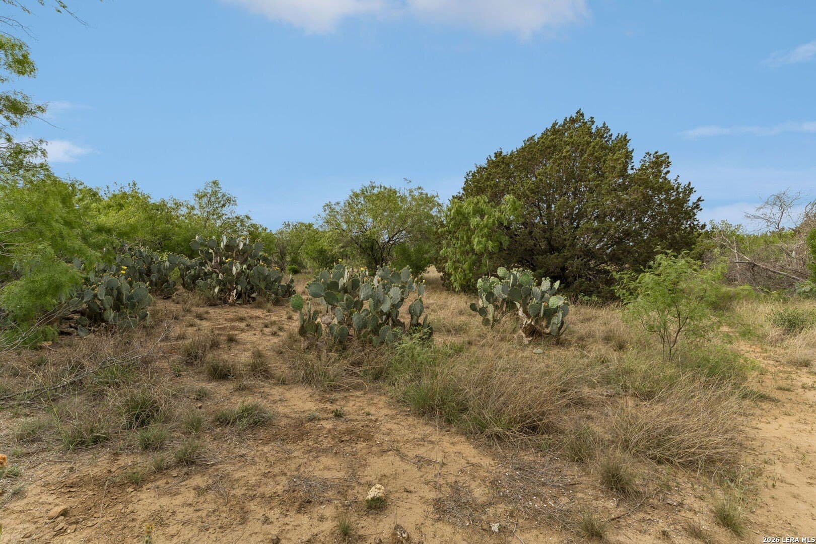 111 acres in Bexar County - photo 11
