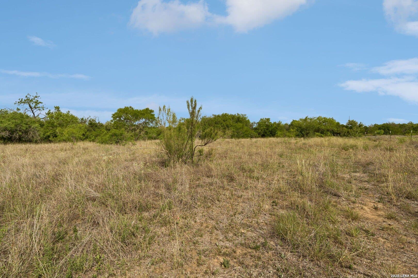 111 acres in Bexar County - photo 16