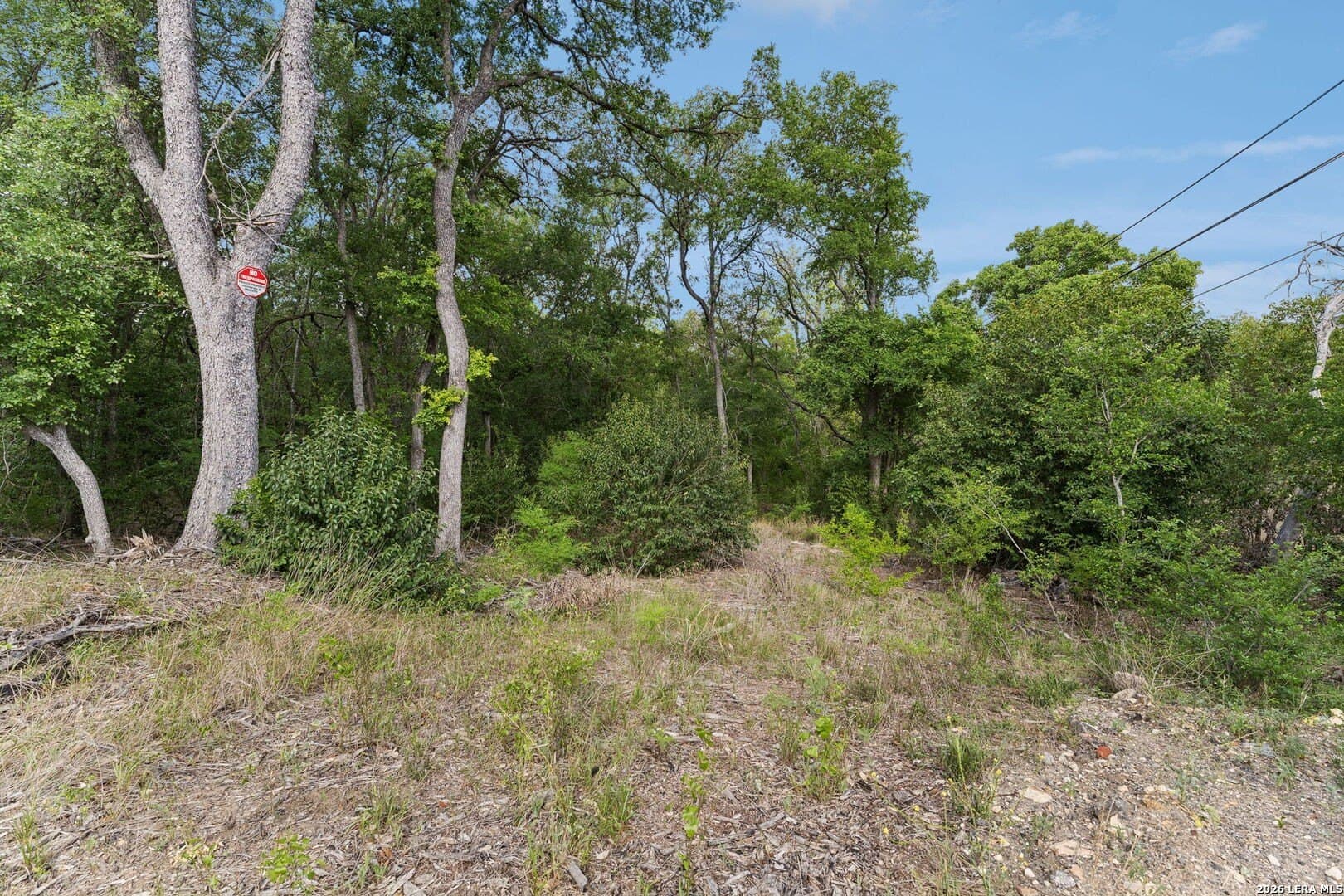 111 acres in Bexar County - photo 17