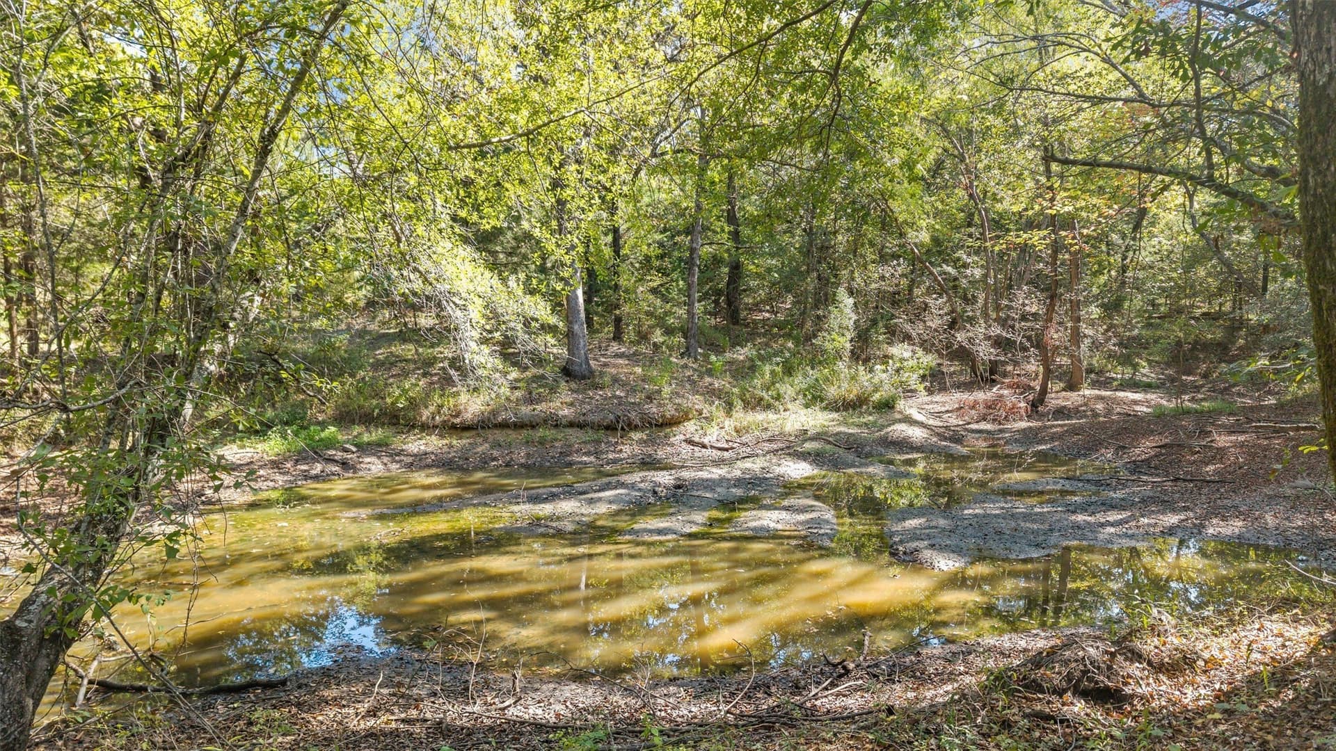 59 acres in Van Zandt County - photo 7