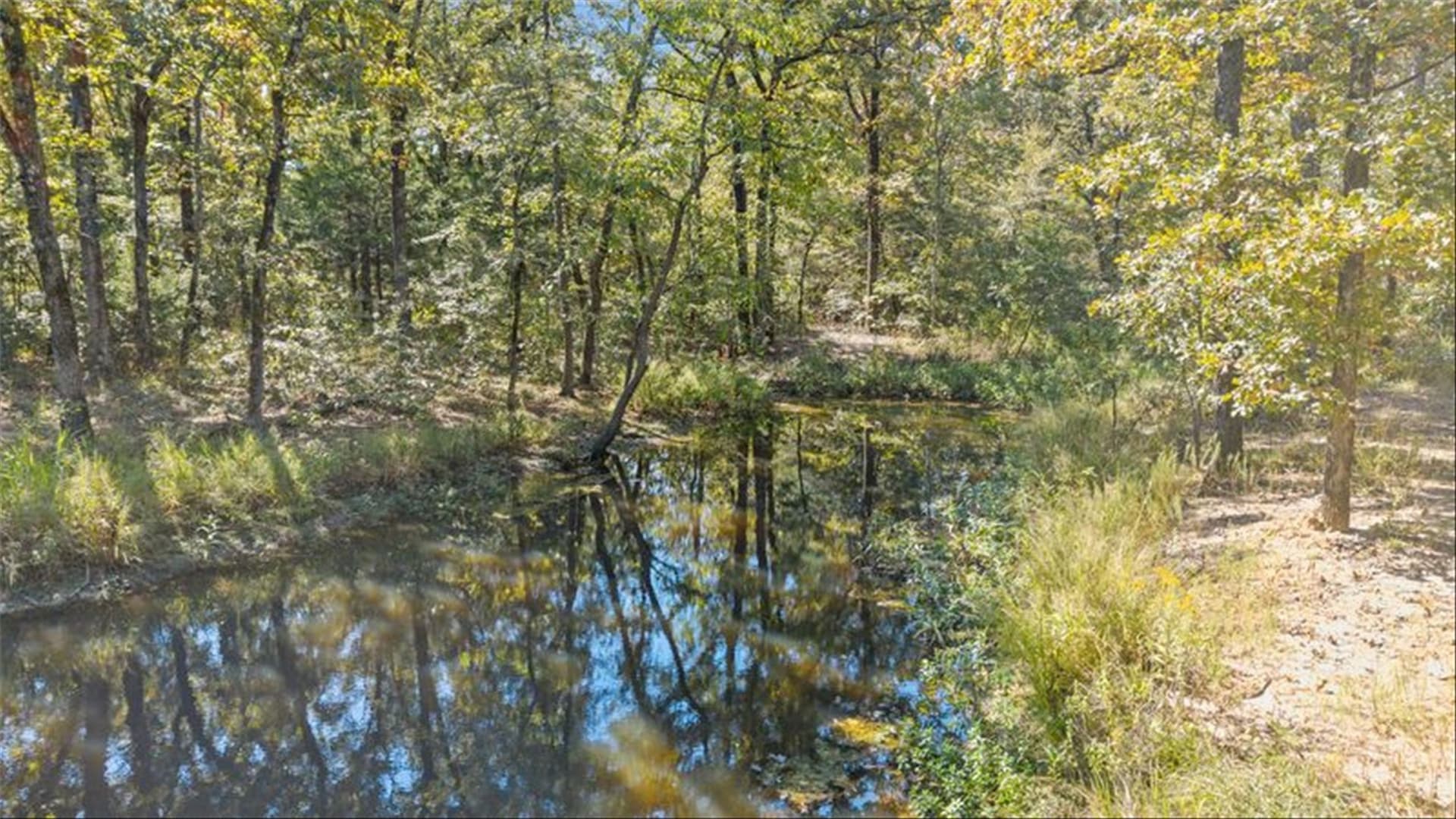 59 acres in Van Zandt County - photo 5
