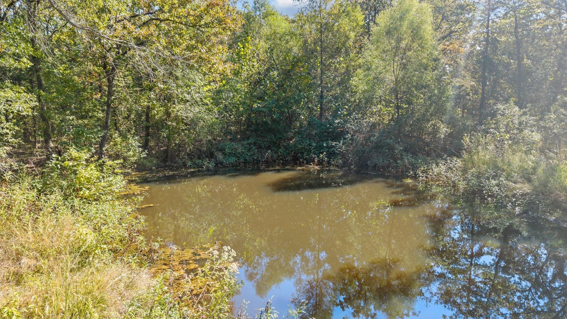 59 acres in Van Zandt County - photo 3