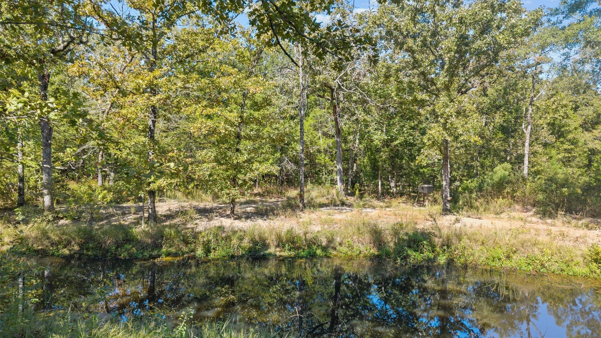 59 acres in Van Zandt County - photo 4