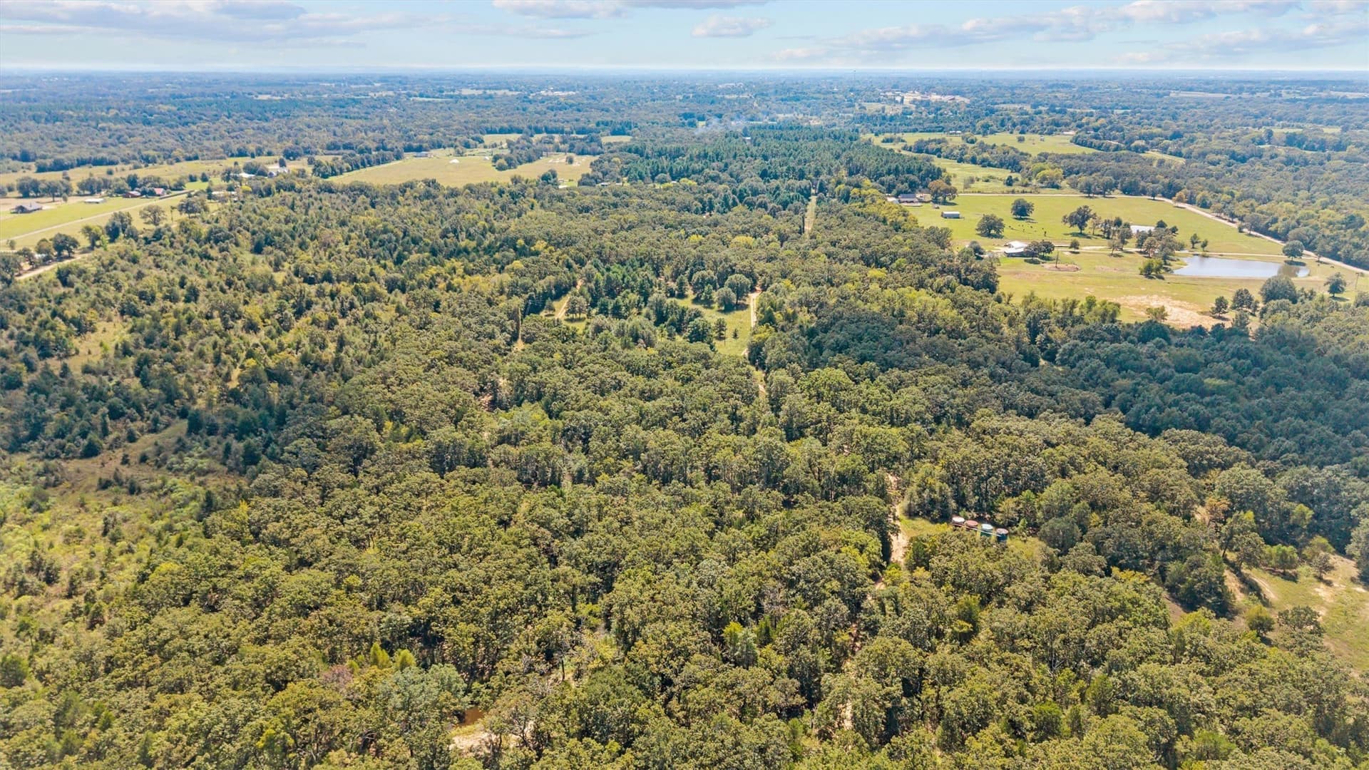 59 acres in Van Zandt County - photo 15