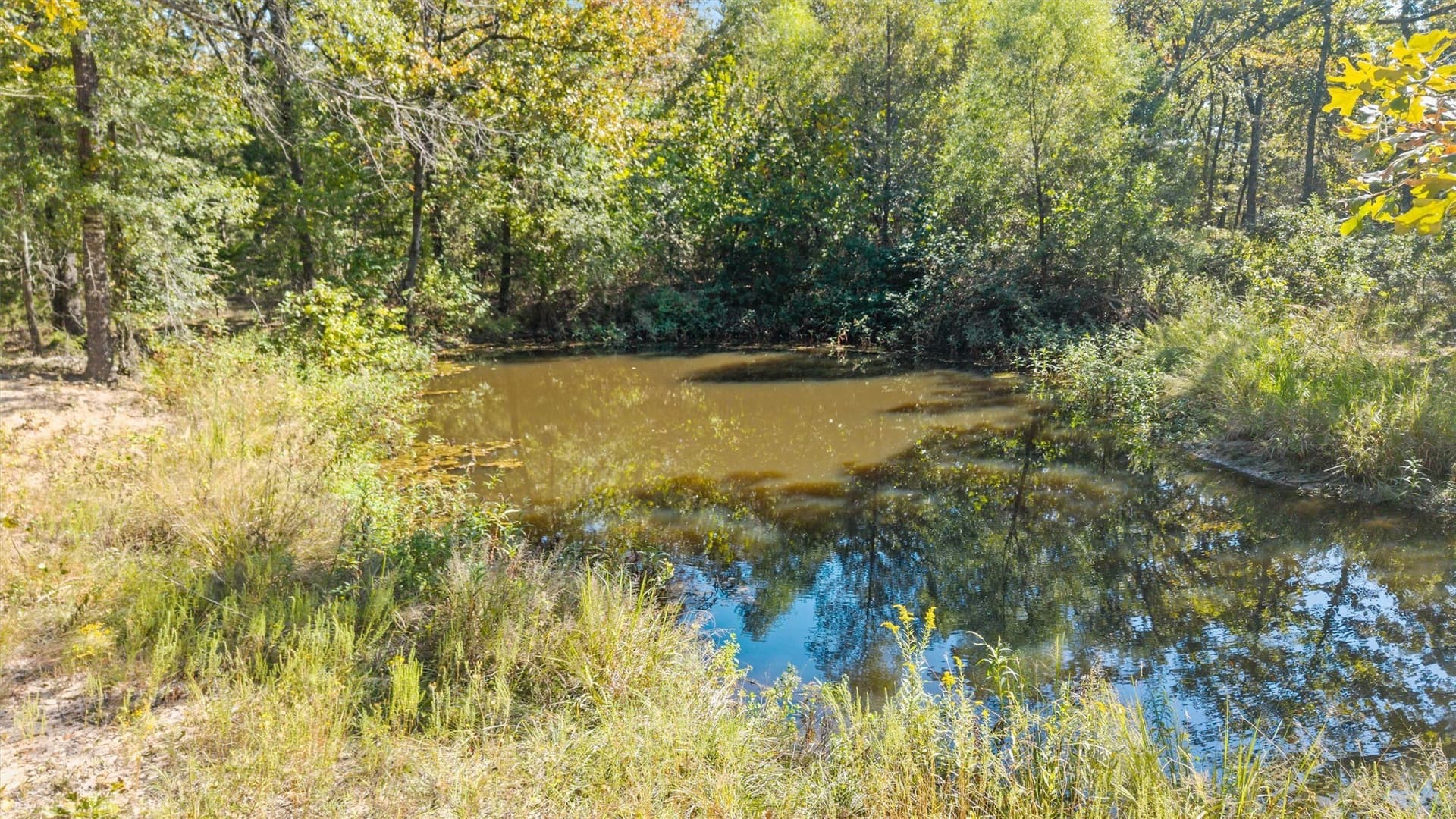 59 acres in Van Zandt County - photo 6