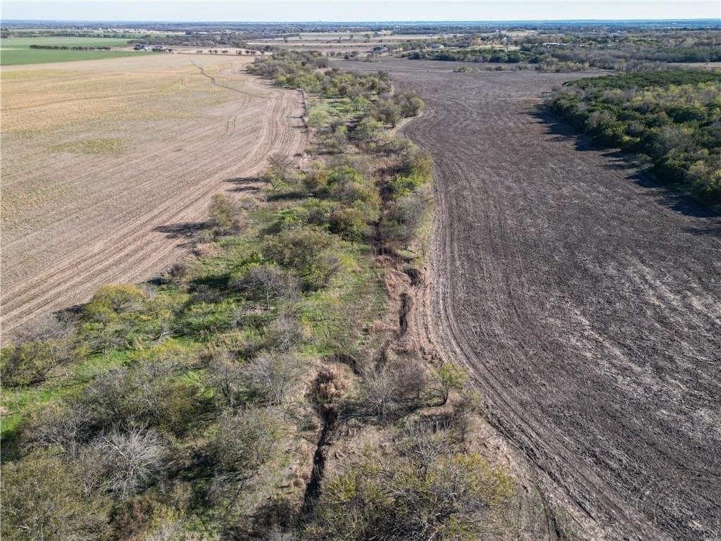 20 acres in McLennan County gallery image 4